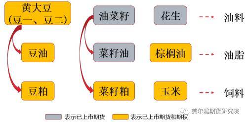 黄大豆1号、黄大豆2号和豆油期货期权上市啦<strong></p>
<p>期货期权</strong>！上市策略展望请收好！
