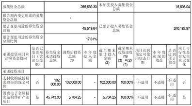 苏州安洁科技股份有限公司 关于公司全资孙公司变更 为全资子公司并向其增资的公告