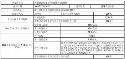 合肥新汇成微电子股份有限公司2022年度报告摘要