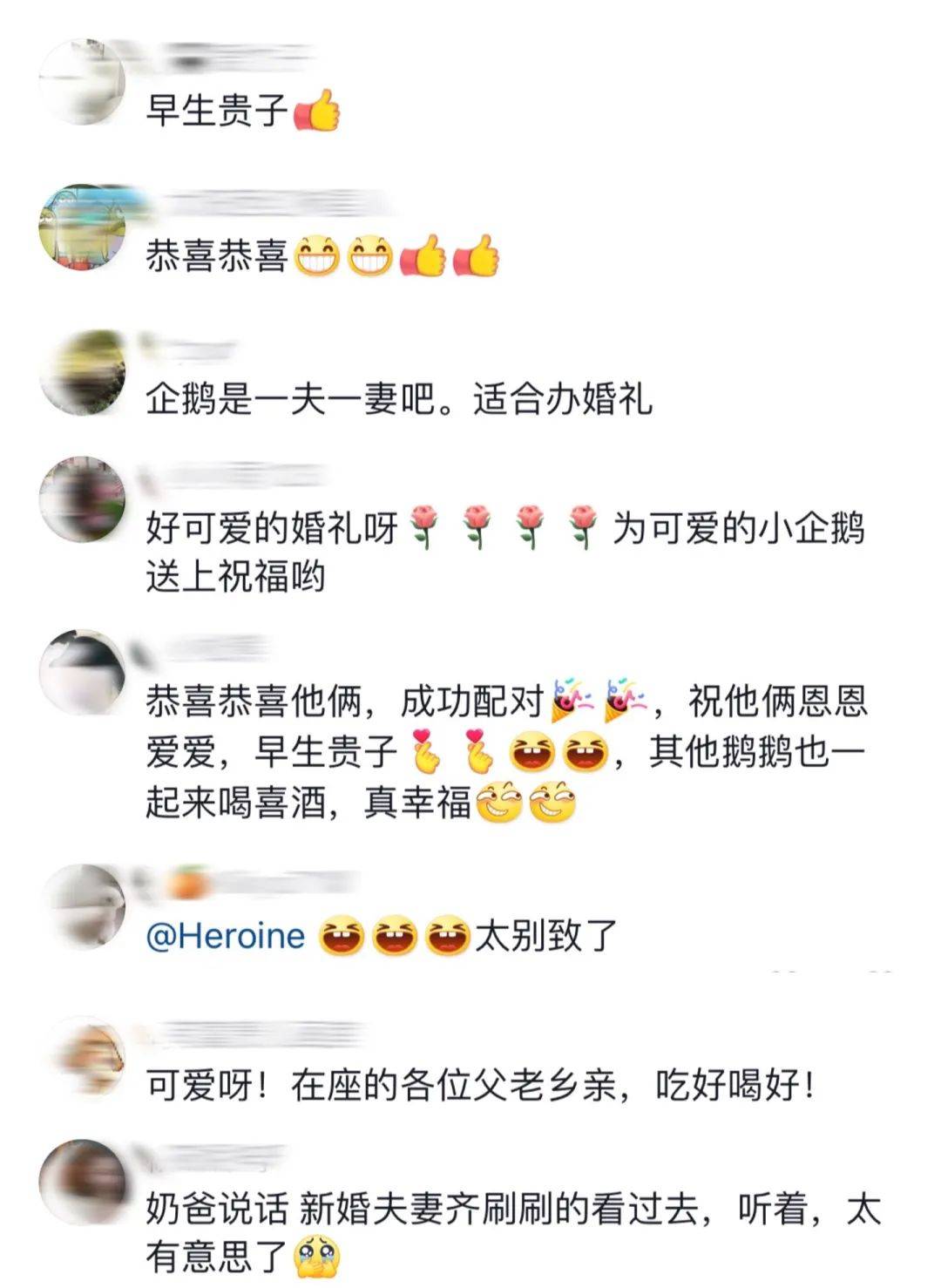 海洋馆为企鹅办“婚礼”<strong></p>
<p>q币</strong>！“证婚人”是…网友：份子钱随多少Q币合适？