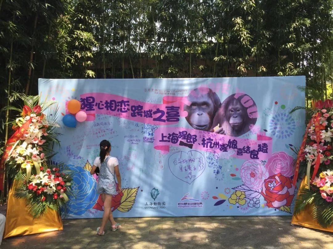 海洋馆为企鹅办“婚礼”<strong></p>
<p>q币</strong>！“证婚人”是…网友：份子钱随多少Q币合适？