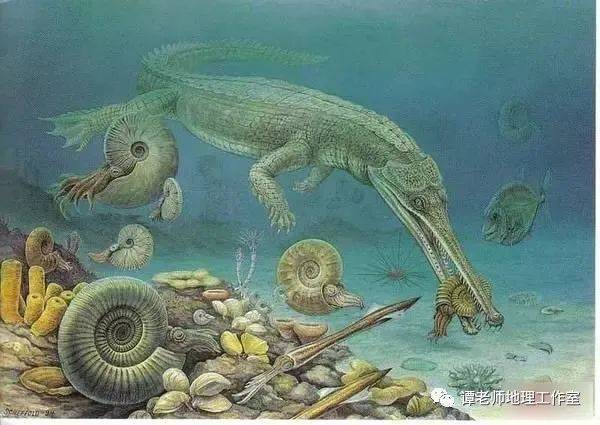 【石油地理】石油真的是动物尸体变成的吗？从地理角度探秘石油成因<strong></p>
<p>石油</strong>！高考热点—石油资源与能源安全！