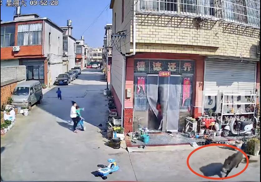 不是上海<strong></p>
<p>瑞波币</strong>！不是上海！不是上海！最新：已被特警击毙