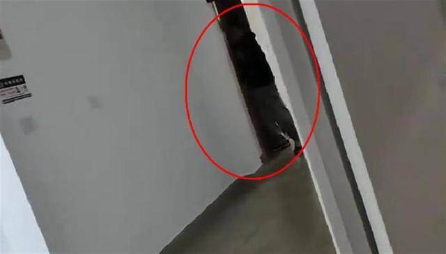 上海一高校男生晚上撞开女生寝室门<strong></p>
<p>DOT交易</strong>，校方：醉酒后走错了