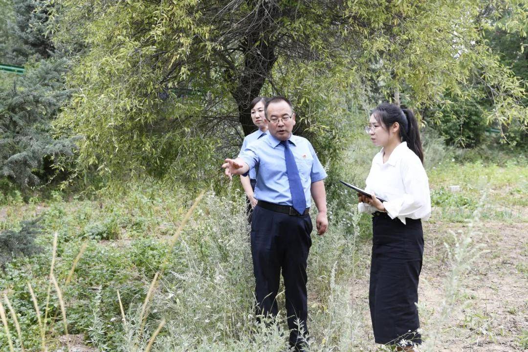 还有8天刑满释放<strong></p>
<p>ADA交易</strong>，十年有期徒刑变为死缓，最高检抗诉的甘肃马某林案获改判