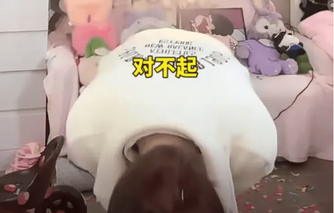 吴柳芳再被罚<strong></p>
<p>ADA交易</strong>！粉丝数从600多万暴降到4万！