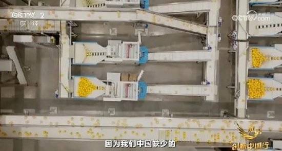 2024年末央视再度专访钟睒睒<strong></p>
<p>艾达币交易</strong>，背后有何深意？