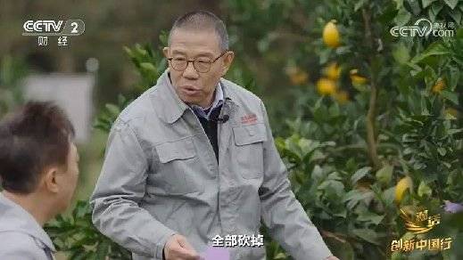 2024年末央视再度专访钟睒睒<strong></p>
<p>艾达币交易</strong>，背后有何深意？