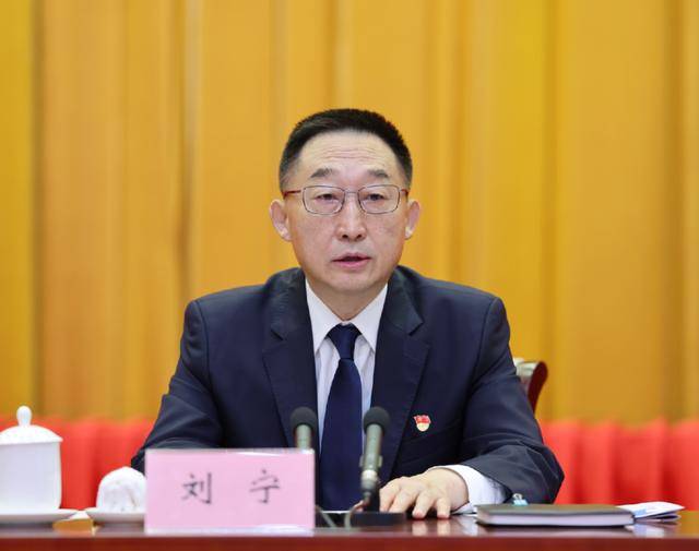 刘宁任河南省委书记<strong></p>
<p>BCH交易</strong>，楼阳生因年龄原因不再担任
