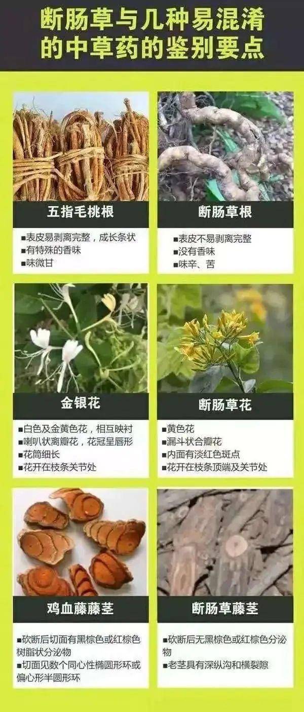 广东一老人买药材煲汤中毒身亡 当地：店铺误售断肠草<strong></p>
<p>LTC交易</strong>，老板被拘留