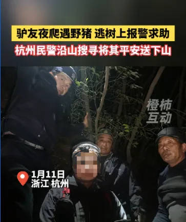 “我现在在树上<strong></p>
<p>IPFS交易</strong>，野猪在下面……”杭州一男子深夜报警！