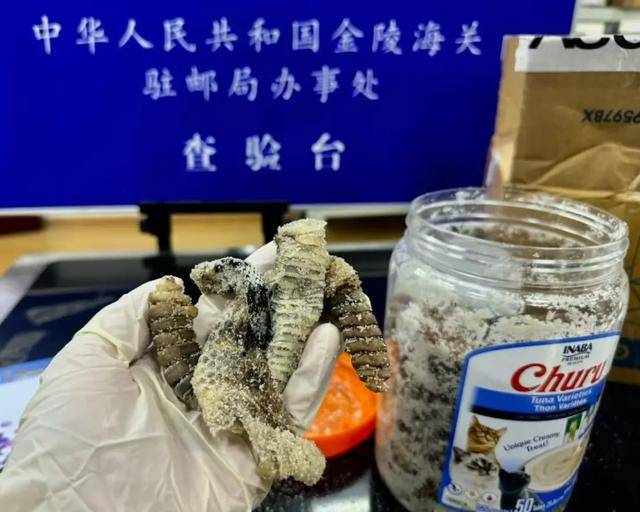 离谱！2.4斤生腌响尾蛇<strong></p>
<p>以太坊交易所</strong>，被藏在零食罐里……