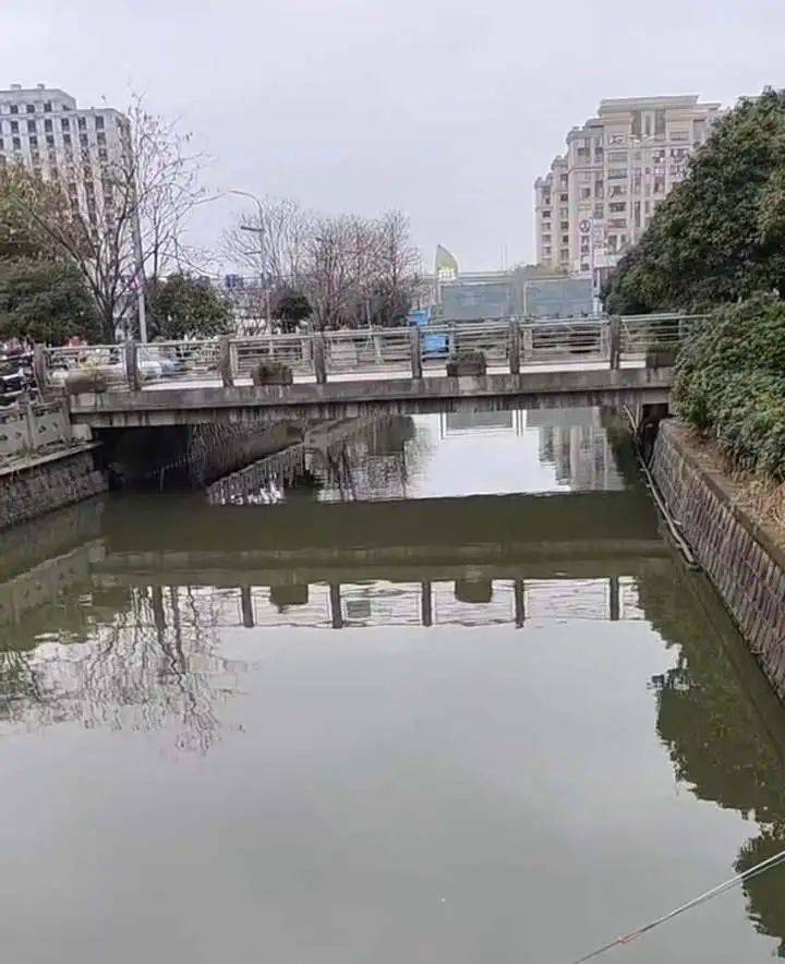痛心！她于凌晨不幸去世<strong></p>
<p>莱特币交易所</strong>，年仅19岁