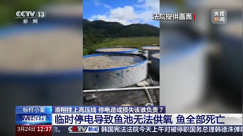 深圳女子被挂高压线！停电救援<strong></p>
<p>币安交易app</strong>，9池鱼死光！他怒上法庭……