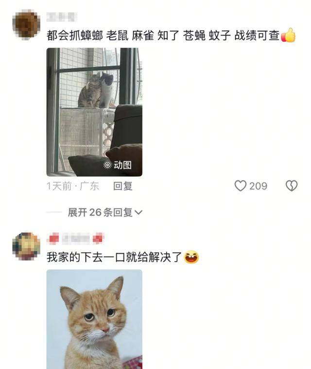 老鼠掉进泳池<strong></p>
<p>币安交易app</strong>，广东大叔出动鸡猫狗团队，结果全被老鼠吓跑！网友坐不住纷纷晒战绩