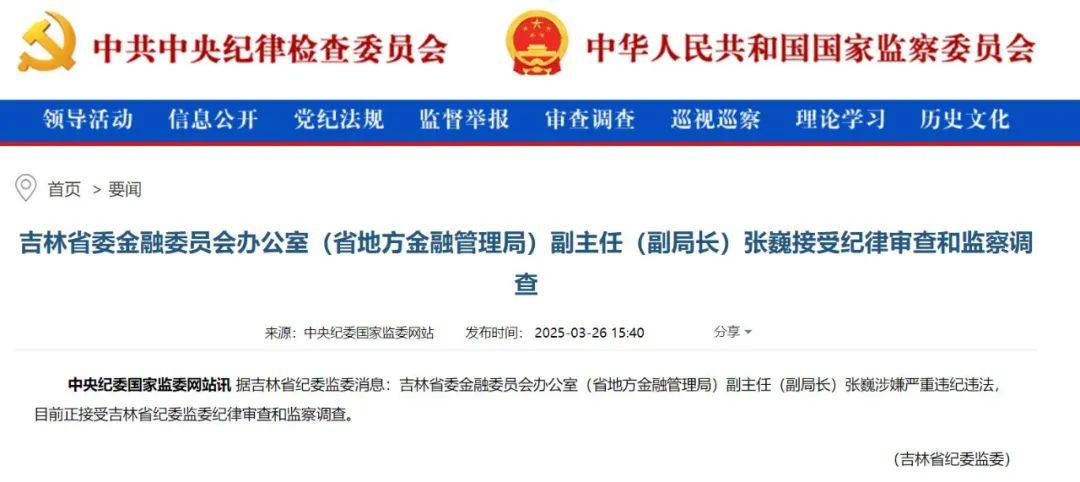 张巍被查