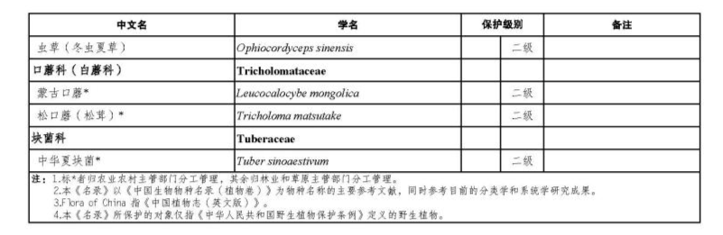 价值18万余元！男子在祁连山非法收购5632根冬虫夏草<strong></p>
<p>瑞波币交易app</strong>，构成危害国家重点保护植物罪获刑