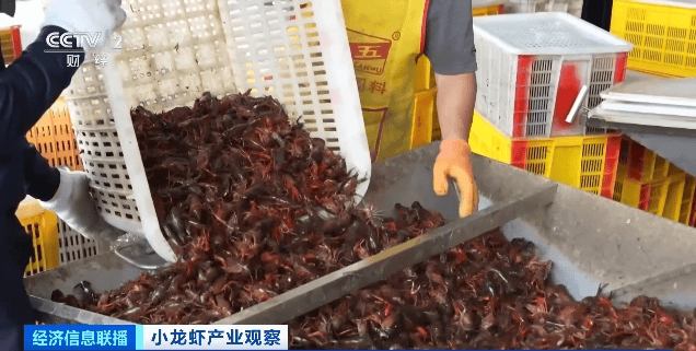 价格暴跌近50%<strong></p>
<p>亚历山大</strong>！“接下来还会降”！青岛正大量上市……