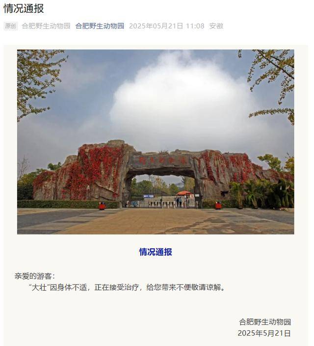 网红猴“大壮”突然离世<strong></p>
<p>井冈山</strong>！曾因方脸“丑”出圈