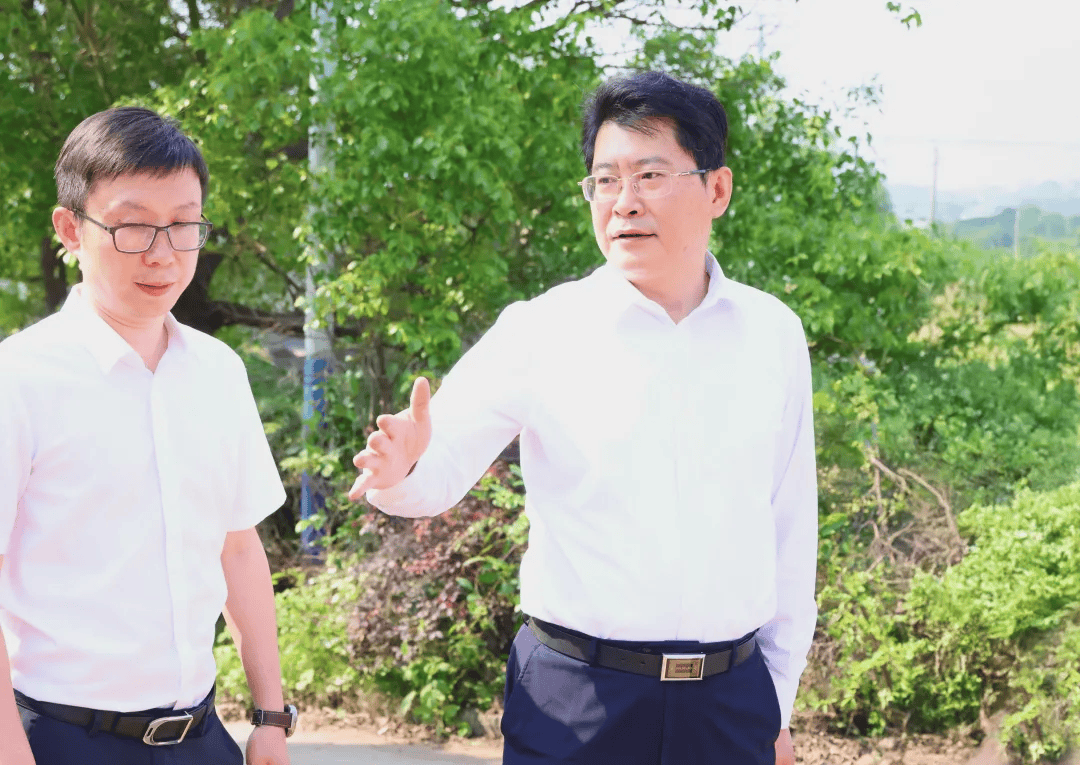 央视曝光后<strong></p>
<p>平底锅</strong>，萍乡市委书记实地督导垃圾专项整治