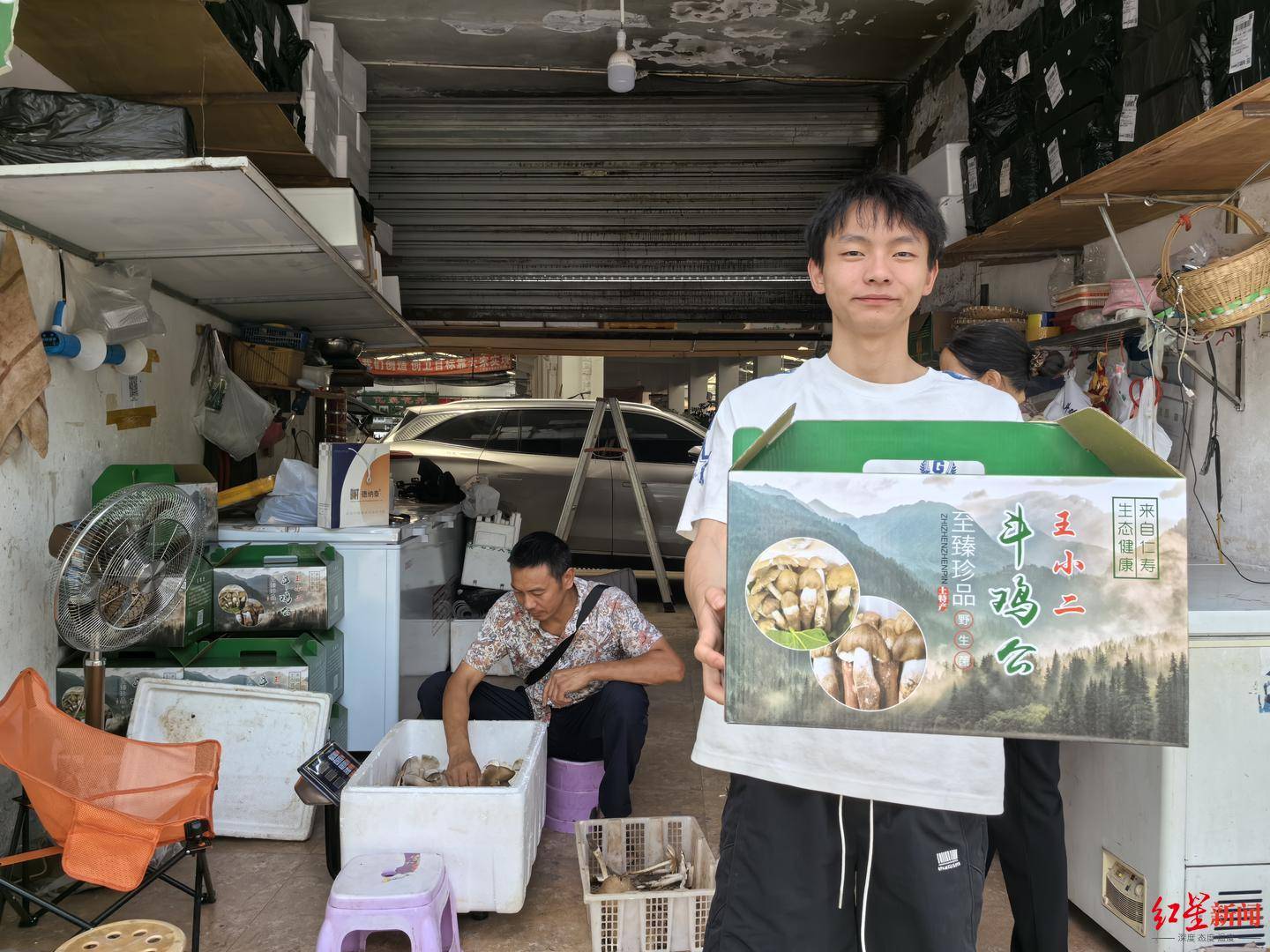 “天价”鸡枞调查：最贵卖到1800元/公斤！雨水少致产量低<strong></p>
<p>灰太狼</strong>，多地价高客少