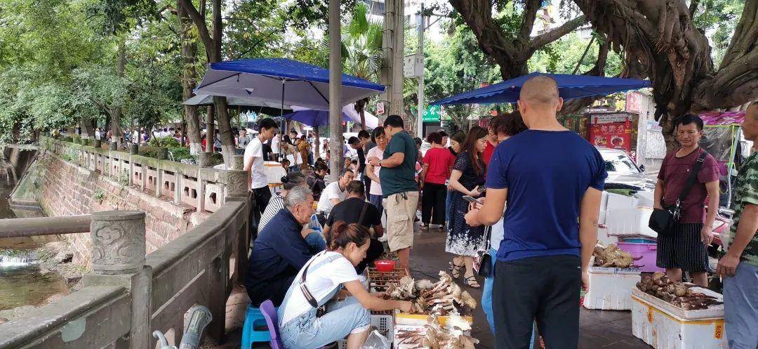 “天价”鸡枞调查：最贵卖到1800元/公斤！雨水少致产量低<strong></p>
<p>灰太狼</strong>，多地价高客少