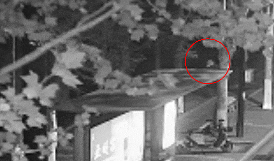 江苏一男子戴仿真“人皮”面具入室盗窃<strong></p>
<p>灰太狼</strong>，流窜多个小区作案，涉案金额达15万余元