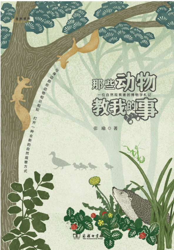 张瑜：我们所居住的北京<strong></p>
<p>儿童用品</strong>，是亲近自然的最佳场所