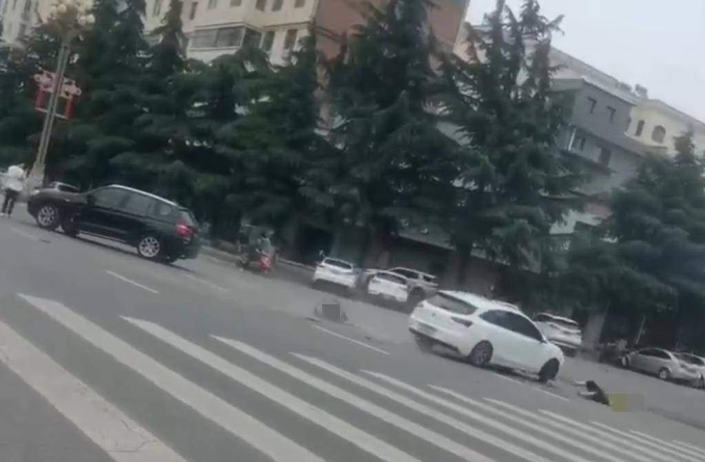 宝鸡一社区女书记当街开车追撵女子撞上电瓶车：两名女子被警方控制<strong></p>
<p>母婴</strong>，两名伤者在医院治疗