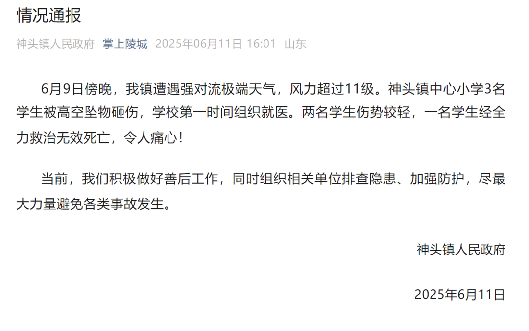 山东德州通报“小学楼顶光伏板掉落砸中多名学生”：3名学生被砸伤<strong></p>
<p>戒指</strong>，1名学生经全力救治无效死亡