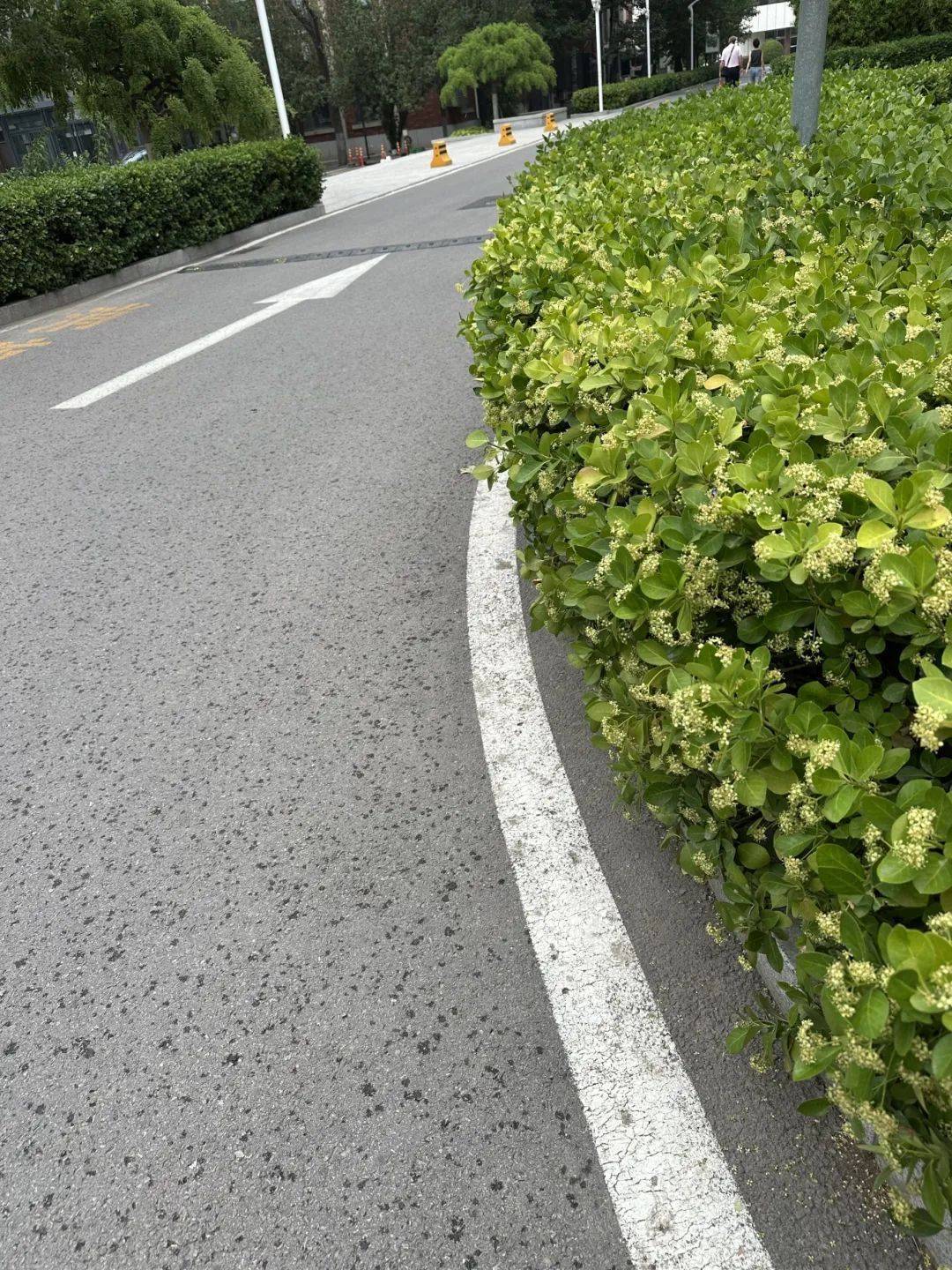 下雨了<strong></p>
<p>成本</strong>！天津接下来十天都是……