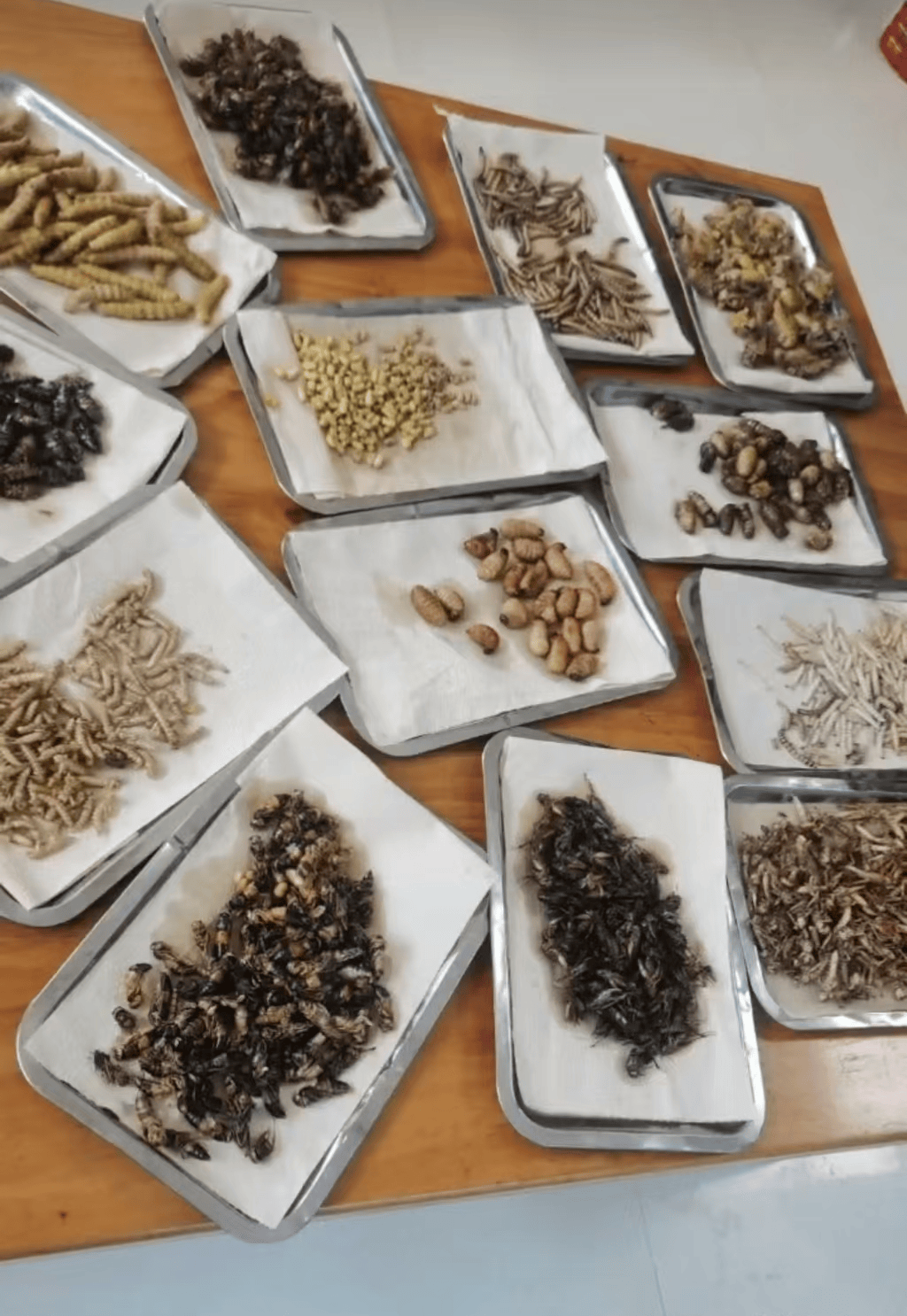 山东临沂通报“蛤蟆汤”饭店被拟罚45万：撤销处罚<strong></p>
<p>比特币翻了多少倍</strong>，5人停职