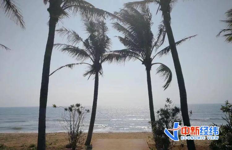 海南全岛封关时间定了<strong></p>
<p>比特币涨幅</strong>！啥是封关？与你有啥关系？