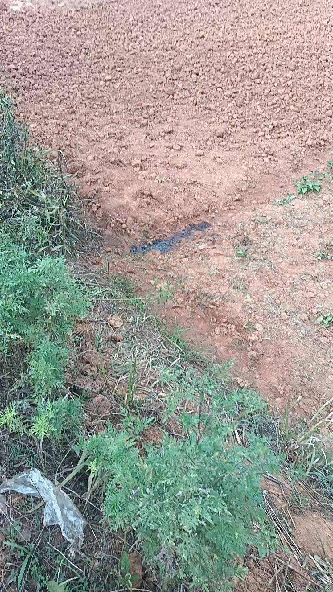 工人被误当猎物枪击身亡<strong></p>
<p>比特币哪里买</strong>，警方通报：屈某某、罗某某被刑拘