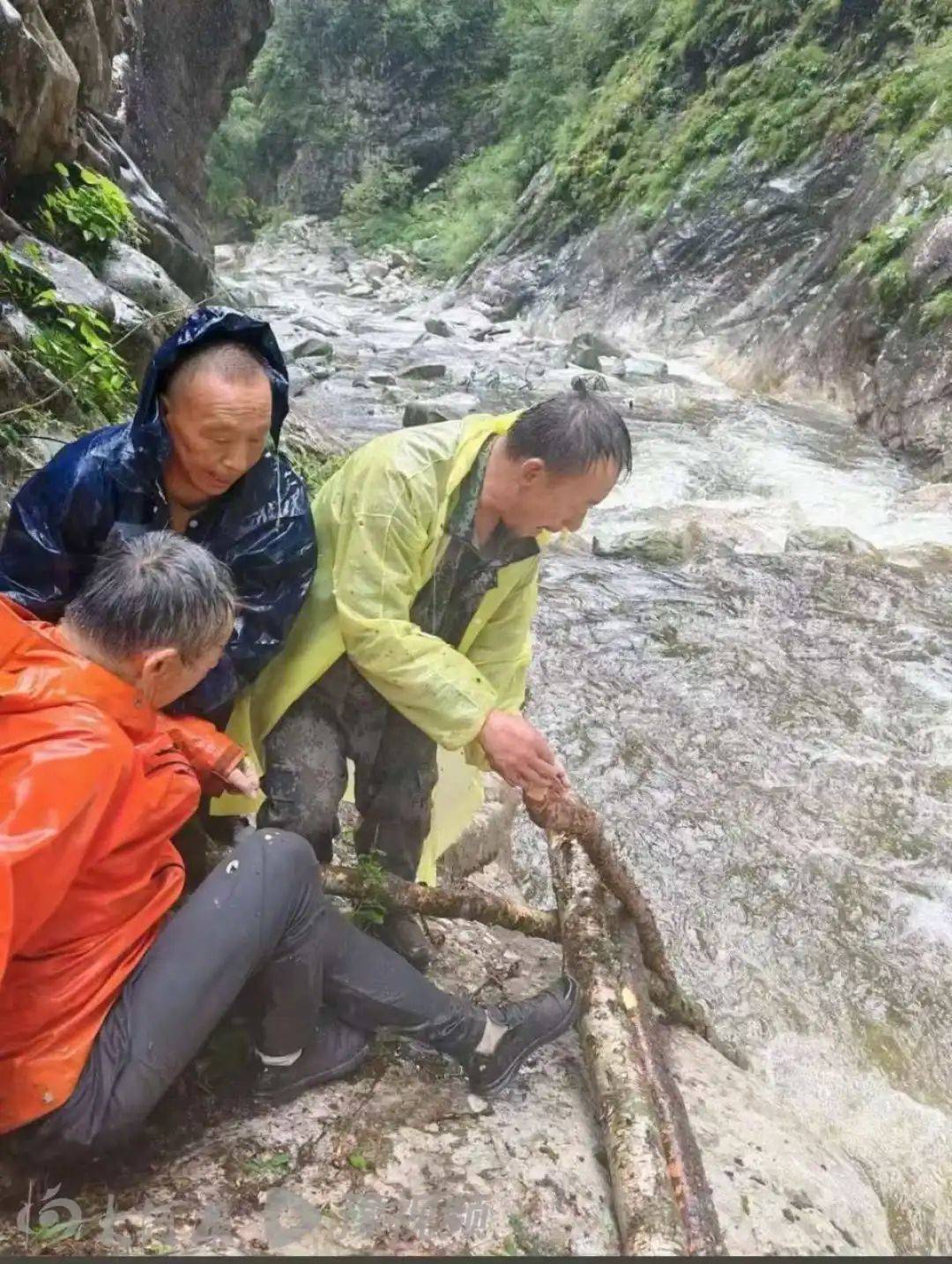 秦岭保护区失联10余天驴友被找到<strong></p>
<p>比特币网址</strong>，失联前后照片曝光：圆脸消失，救援人员称瘦了几十斤