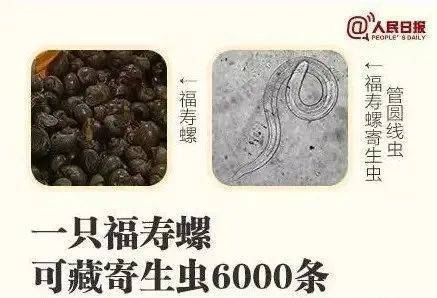 别吃！寄生虫多达6000条！浙江一地大量出现<strong></p>
<p>一比特币</strong>，看到立刻上报