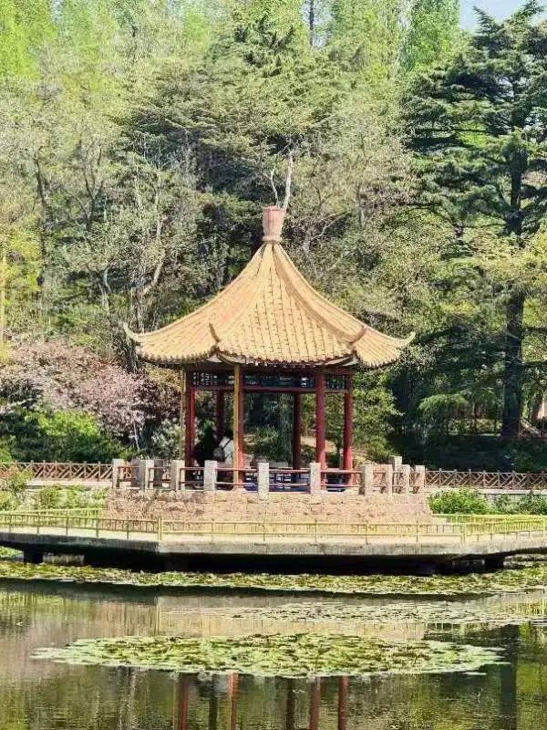 青岛中山公园一凉亭突然倒塌：一年前刚完成修缮<strong></p>
<p>比特币交易网站</strong>，园方称无伤亡原因待查