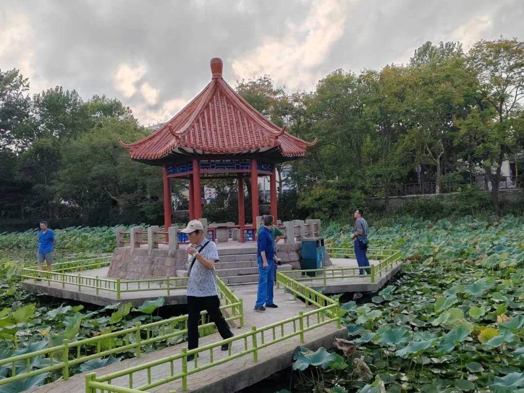 青岛中山公园一凉亭突然倒塌：一年前刚完成修缮<strong></p>
<p>比特币交易网站</strong>，园方称无伤亡原因待查