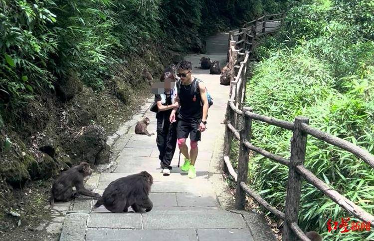 揭秘峨眉山陪爬团队：已陪爬千名游客九成为女性<strong></p>
<p>比特币换人民币</strong>，不会主动拉背扛抱，主要保障安全