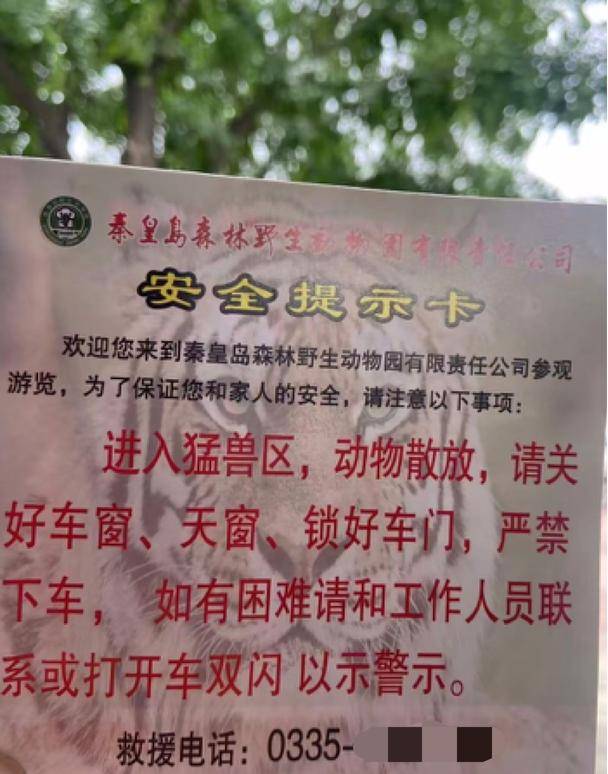 惊险！野生动物园内<strong></p>
<p>比特币价钱</strong>，两车剐蹭，车主下车沟通老虎一旁围观
