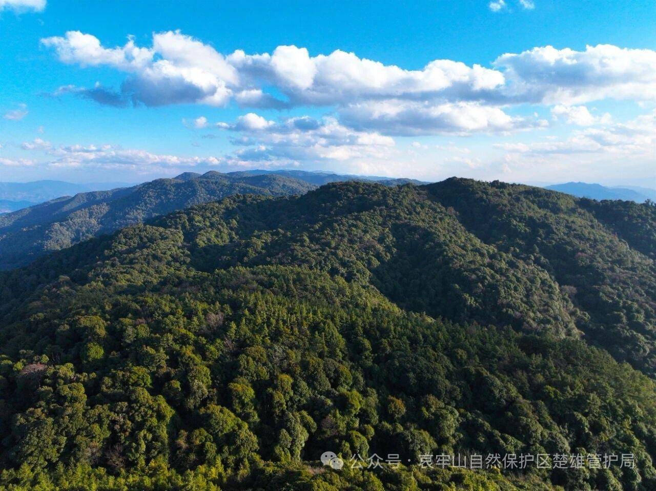 云南哀牢山新规出台：禁止任何单位和个人擅入哀牢山自然保护区<strong></p>
<p>比特币发行价</strong>，从事科研活动须报批