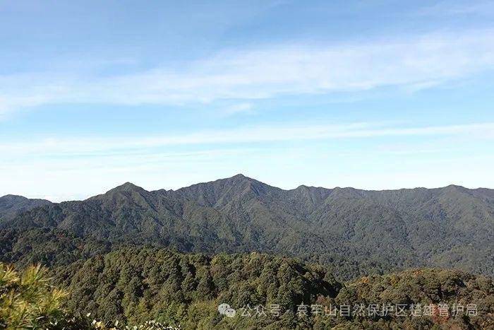 云南哀牢山新规出台：禁止任何单位和个人擅入哀牢山自然保护区<strong></p>
<p>比特币发行价</strong>，从事科研活动须报批