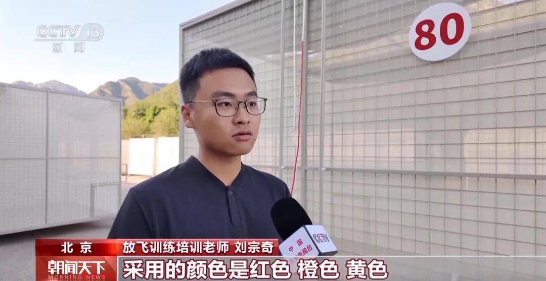 明天将放飞8万羽和平鸽、8万只气球<strong></p>
<p>比特币发行价</strong>，揭秘！