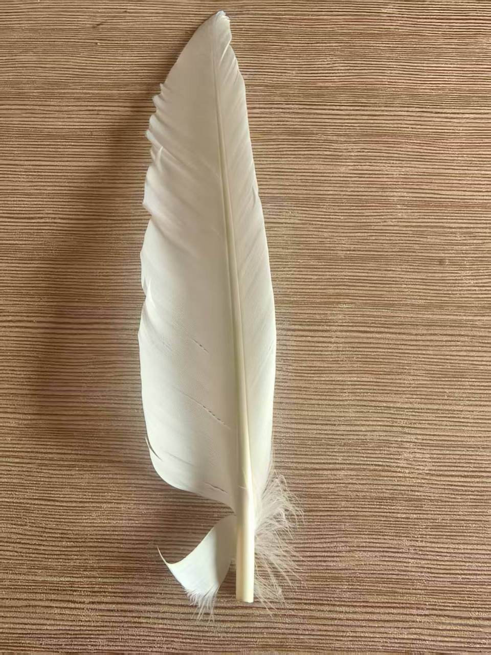 羽毛球又又又涨价<strong></p>
<p>比特币发行价</strong>，球友破防：月花三千扛不住，打球人的天塌了