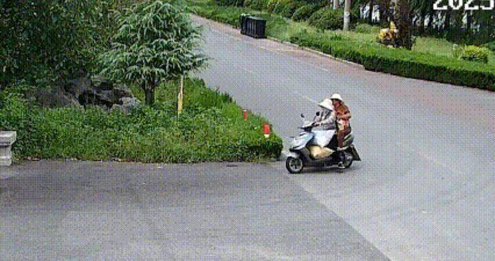 400斤<strong></p>
<p>比特币行情走势图最新</strong>，两人多次偷猕猴桃自己吃，被济南警方抓获