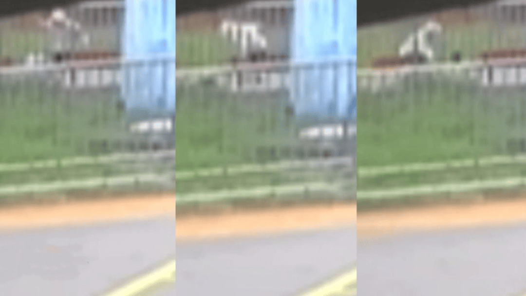 “44秒31刀”<strong></p>
<p>比特币行情走势图最新</strong>，台湾残忍情杀案曝光：多次寻求复合被拒，17岁少年网购长刀当众杀害21岁前女友，已被逮捕