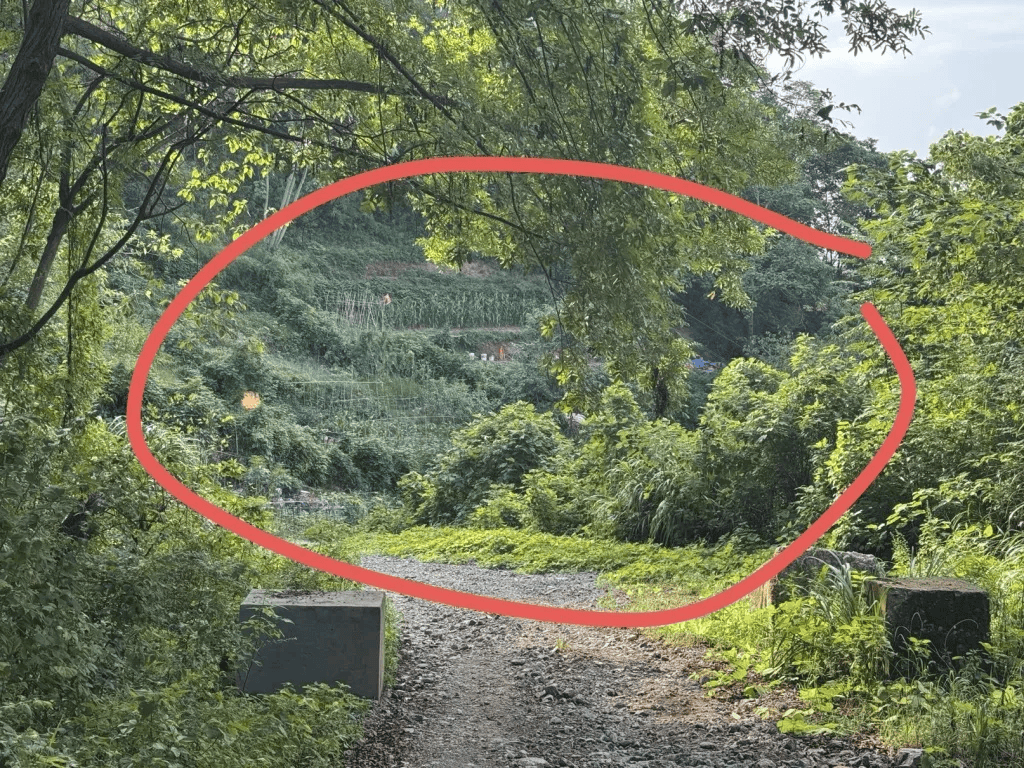 杭州女子误踩“化骨水”身亡<strong></p>
<p>比特币挖矿流程</strong>,当地:已锁定化学品所有者,发现三桶,一桶完整,两桶残余