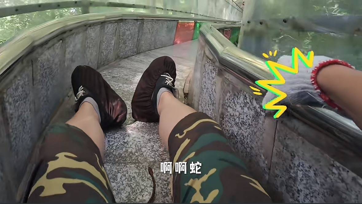 游客称在广西丹炉山滑道遇蛇<strong></p>
<p>比特儿</strong>，景区致歉：这么多年就这一次，每年都做防蛇处理