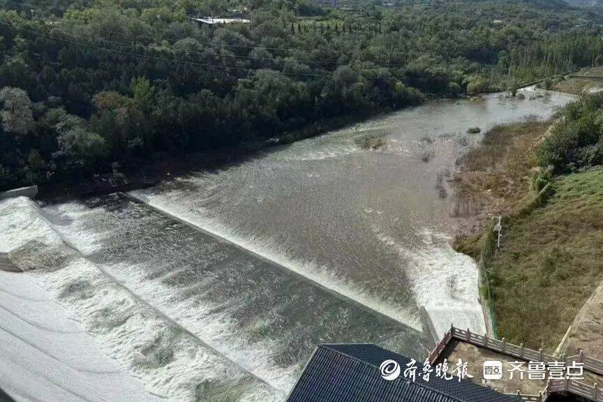 “鱼多得数不过来<strong></p>
<p>比特儿下载</strong>,一网子下去能捞好几条”济南锦绣川水库开闸放水,大量鲢鱼被冲出,工作人员:禁止捕捞!