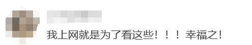 上海女生国外丢失手机<strong></p>
<p>比特儿海外版</strong>，找回后发现多了两段视频，网友：结局意想不到……